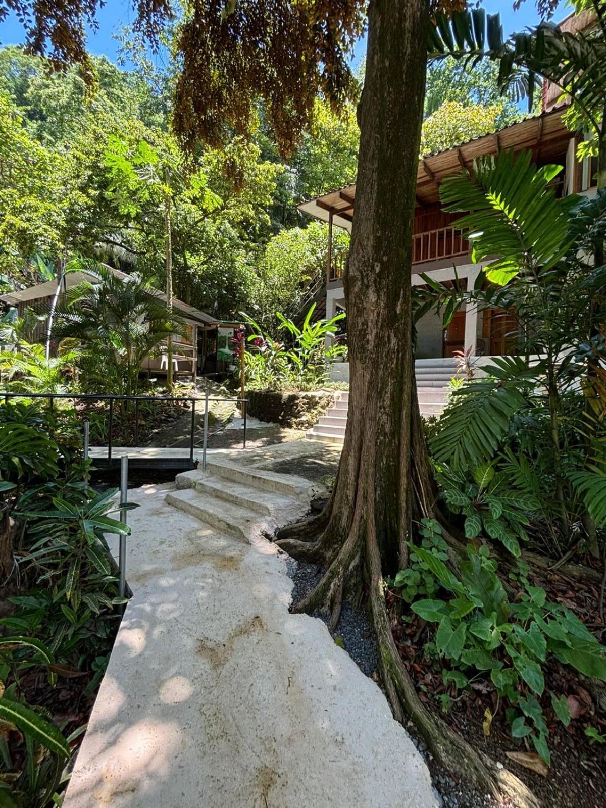 蒙特苏马Casa Susen公寓 外观 照片